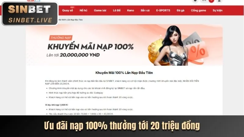 Chương trình hoàn trả VIP shbrt